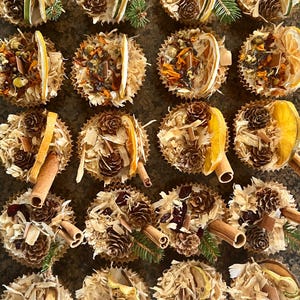All Natural Fire Starters - Variety Pack