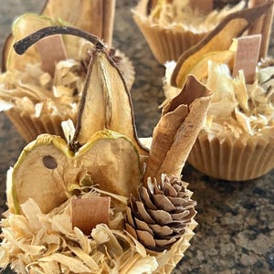 All Natural Fire Starters - “Autumn Air”