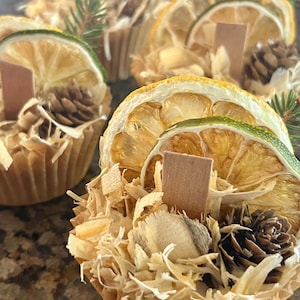 All Natural Fire Starters - “Evergreen”