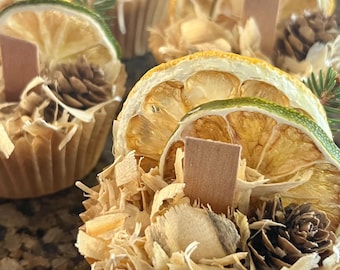 All Natural Fire Starters - “Evergreen”