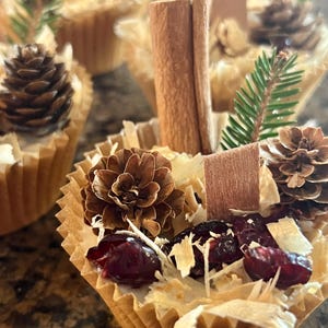 All Natural Fire Starters - “Winter Wonderland”