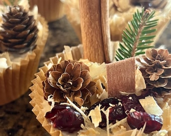 All Natural Fire Starters - “Winter Wonderland”