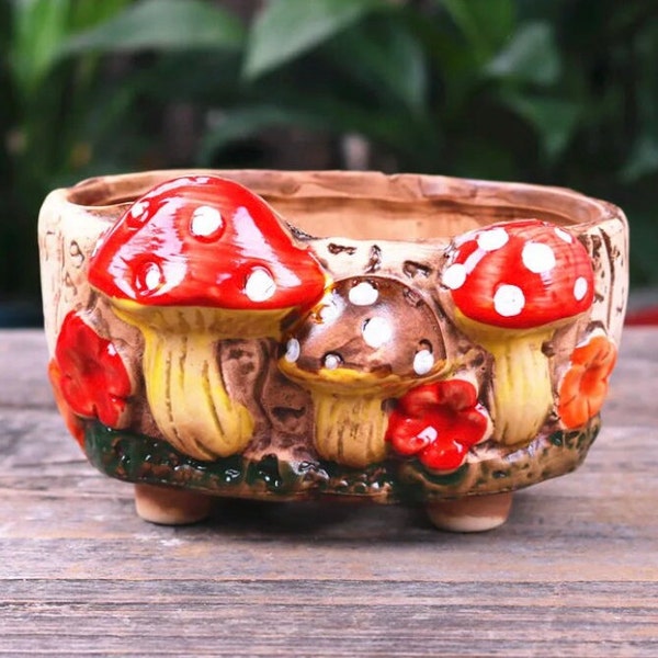 Rustic Mushroom Succulent pot M103