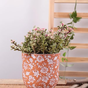 Embossed Terracotta Plant Pot | Hand Painted Floral Clay Planter | 5 Inch Houseplant Pot | Hoya Planter | Indoor Plant Pot
