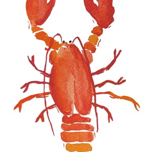 Gráfico digital de langosta roja acuarela