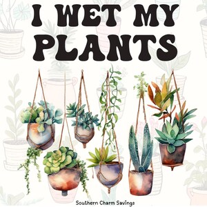Eu molhei minhas plantas