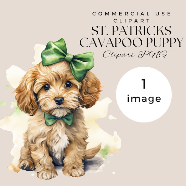 St. Patricks Day Cavapoo Puppy Watercolor Clipart | SINGLE IMAGE | commercial use, Transparent PNGs,  Baby Graphic for boy or girl,