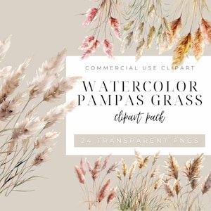 Clipart herbe de la pampa, aquarelle de fleurs, fleur bohème, printemps été, fleurs séchées, mariée, faire-part de mariage, publicité