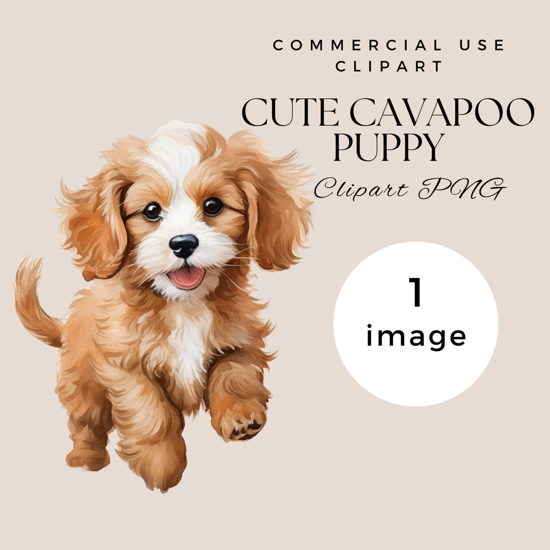Cute Cavapoo Clipart Watercolor | SINGLE IMAGE | Digital Download ...