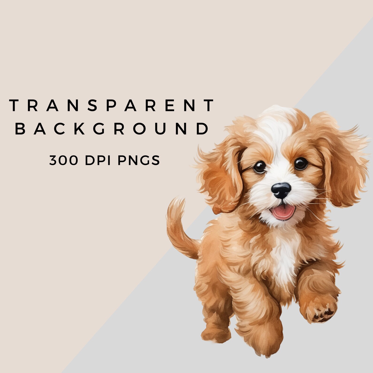 Cute Cavapoo Puppy Clipart | Watercolor Nursery Art (digital Download ...