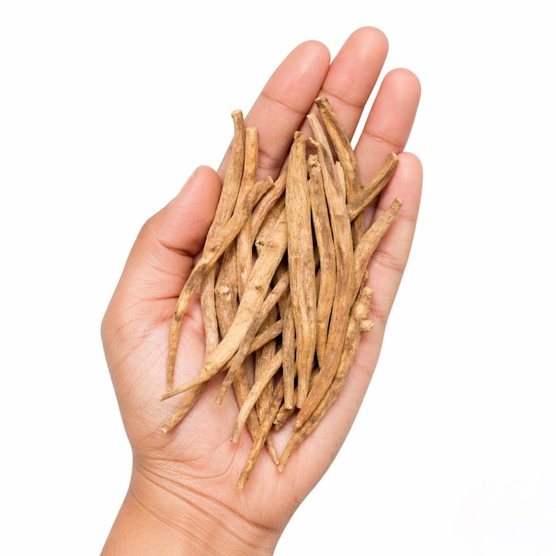 May include: A handful of dried, light brown, slender roots, possibly herbs or spices, are held in an open palm against a white background. The roots have a rough texture and varying lengths.