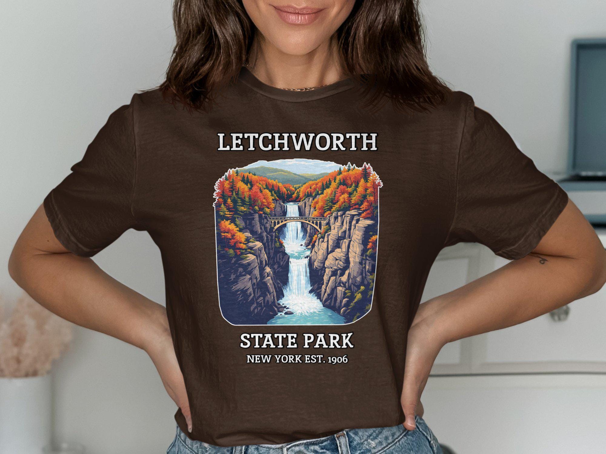 Letchworth State Park T-shirt: Vintage Waterfall Graphic Tee - Etsy