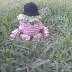 May include: A crocheted plush toy with a pink body, green leaves around the neck, and a black hat. The toy is sitting in a patch of green grass.