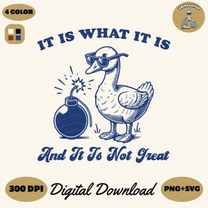 Silly Goose with Bomb PNG SVG: Sarcastic Sticker Design (Digital Download)