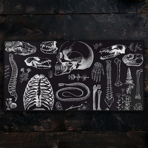 Anthropologie Mousepad Gothic Dark Academia Schreibtischunterlage Maus Tastatur Unterlage Gaming Goth Bürodeko XL Gaming Schreibtischunterlage Halloween Dekor