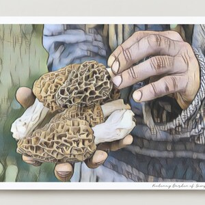 Carte de voeux aux champignons morilles - carte d'art à encadrer - toutes les occasions - carte vierge - série Forager
