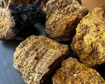 Dried Chaga Inonotus obliquus 57g