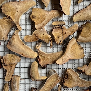 Dried Red Belted Polypore Fomitopsis pinicola 57g