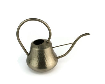 Metal Watering Can, Vintage Water Can With Spout, Cactus Watering Can, 0.6 Liter Flower Watering Accessory, Garden Decor