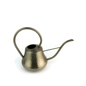 Puede incluir: Una regadera de plata con acabado martillado y un asa curva.