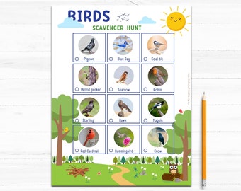 Bird Scavenger Nature Hunt, Vogelbeobachter Aktivitätsblatt für Kinder. Druckbare Lernaktivität für draußen. Fun Camping Spiel für Kinder.
