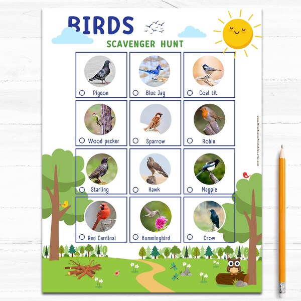 Bird Scavenger Nature Hunt, bird watching activity sheet for Children. Printable Outdoor Learning  Activity. Fun camping game for kids.