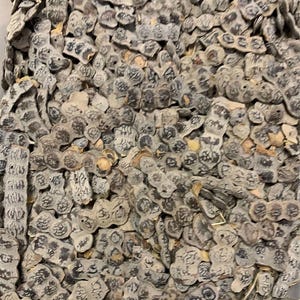 NEP NEP, Neb Neb, Acacia Essential Women Herb from West Africa