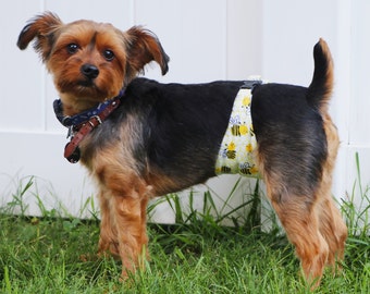 Male Dog Belly Band, Belly Band Wraps, Senior Dogs, Potty Training, Rescue Dogs, Paracord Buckle Closure, PATENT PENDING