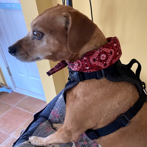 dog cooling neck wrap