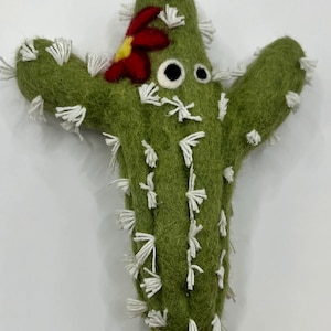 May include: A handmade green felt cactus with white thread detailing and a red and yellow felt flower. The cactus has two black and white felt eyes. The cactus is a whimsical decorative item.