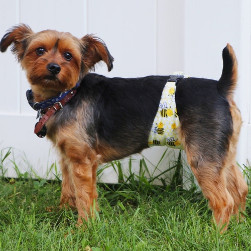 Male Dog Belly Band Belly Band Wraps Senior Dogs Potty Etsy UK