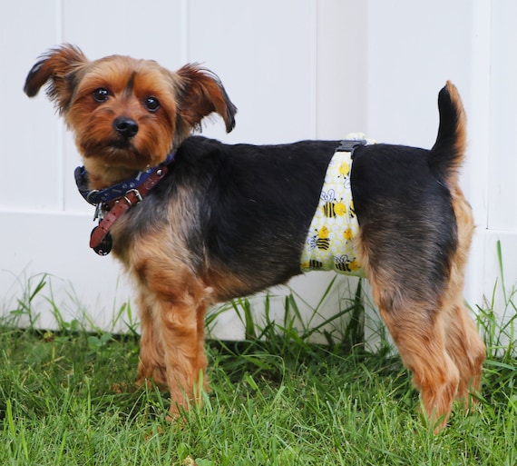 puppy belly bands for males