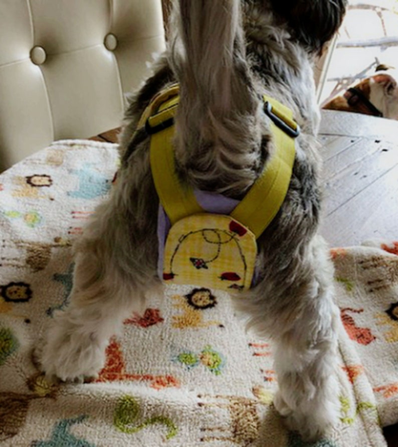 Female Dog Belly Band Belly Band Wraps Senior Dogs Potty Etsy