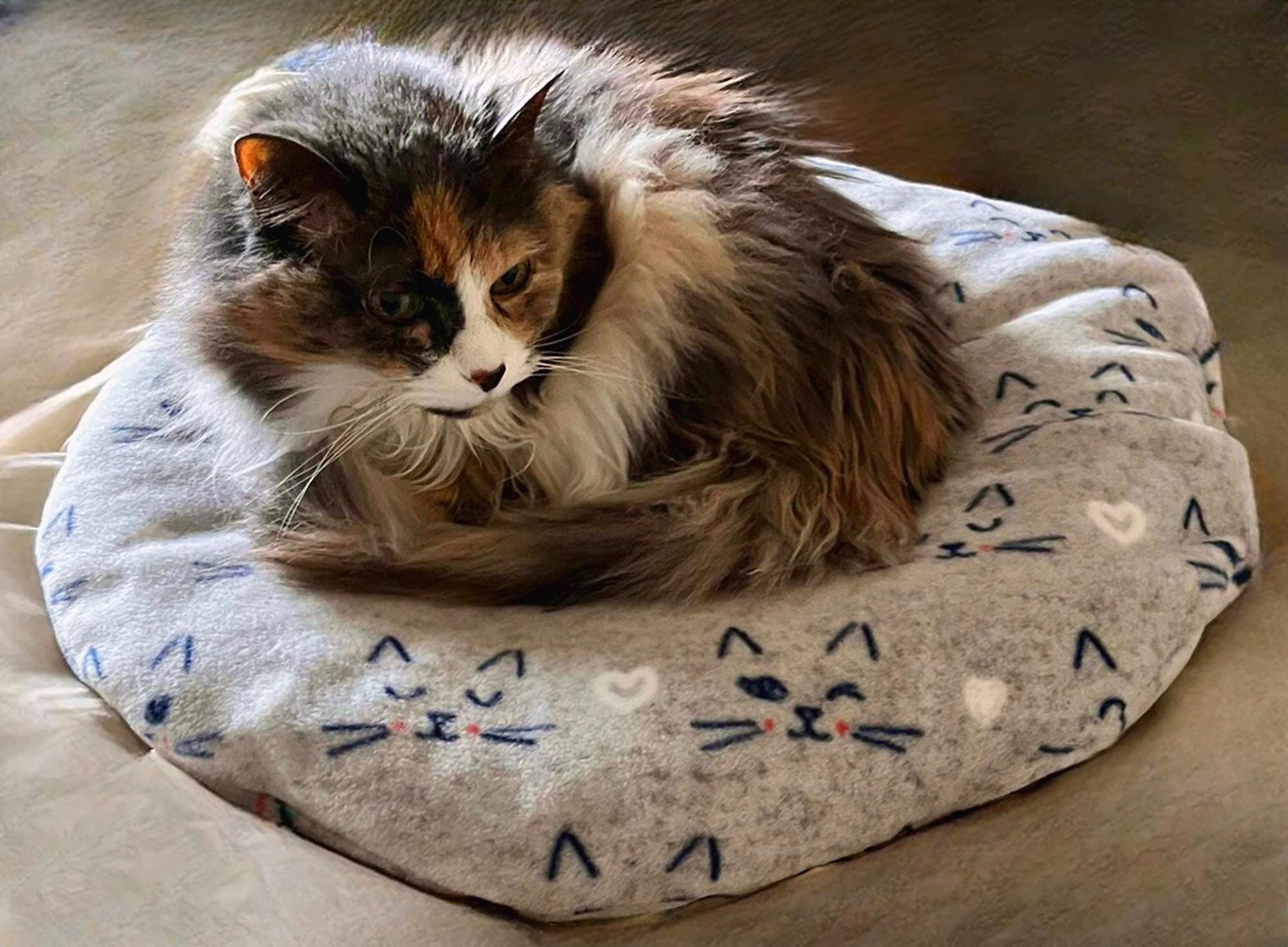 Organic Buckwheat Hull Pet Bed Washable Cover, Natural Comfort