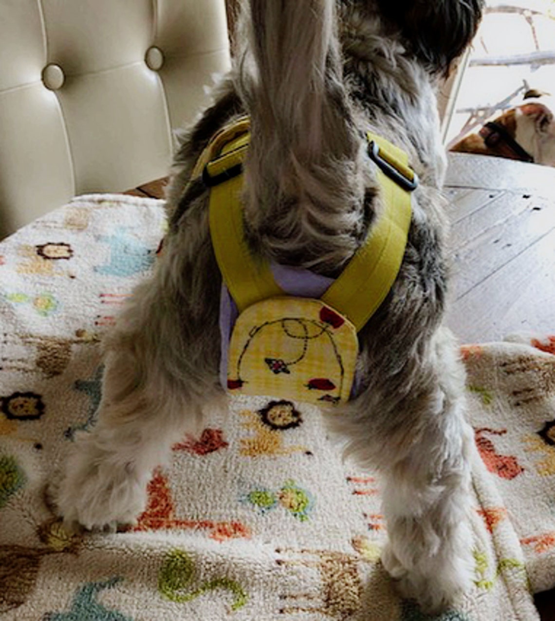 Female Dog Belly Band Belly Band Wraps Senior Dogs Potty Etsy