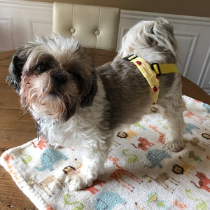 Female Dog Belly Band, Senior Dogs, Rescue Dogs, Paracord Buckle Closure, Adjustable, DISCONTINUED when these are gone I will not restock.