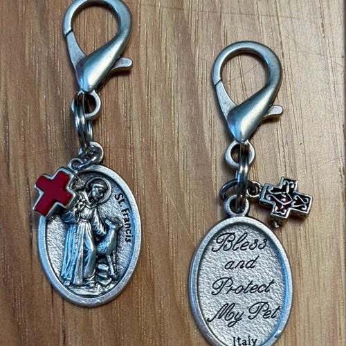 St. Francis Pet Collar Charm: Silver-Plated with Sterling Silver Cross Red Onyx