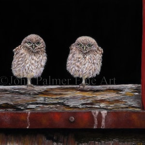 Little Owl Picture, Owl gift, Little Owls Greeting card, Don&#39;t Even Blink About It! -  Greeting card from my painting two Little Owls