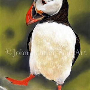 Tarjeta de frailecillo Imagen de frailecillo Regalo de frailecillo Arte de frailecillo Pintura de aves Regalo de aves Tarjeta de vida silvestre, Tarjeta de felicitación de mi pintura de un frailecillo bailando