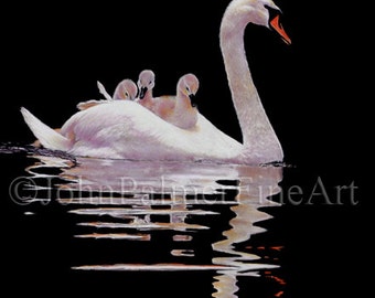 Swan and Brood -  Greeting card from my painting a Swan with its young featuring my original painting