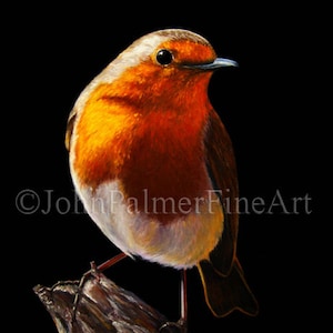 Robin Picture, Robin Greeting card from my painting of a Robin