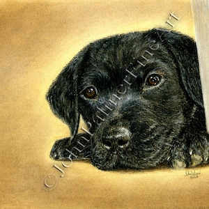 Black Labrador Picture Greeting Card, Black Labrador gift card, Labrador  doggie gift, Accidents Happen! my painting a Black Labrador puppy