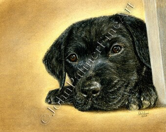 Black Labrador Picture Greeting Card, Black Labrador gift card, Labrador  doggie gift, Accidents Happen! my painting a Black Labrador puppy
