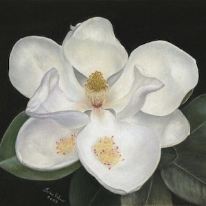 Magnolia grandiflora Picture, Magnolia painting, garden flower - print from my original pastel painting.