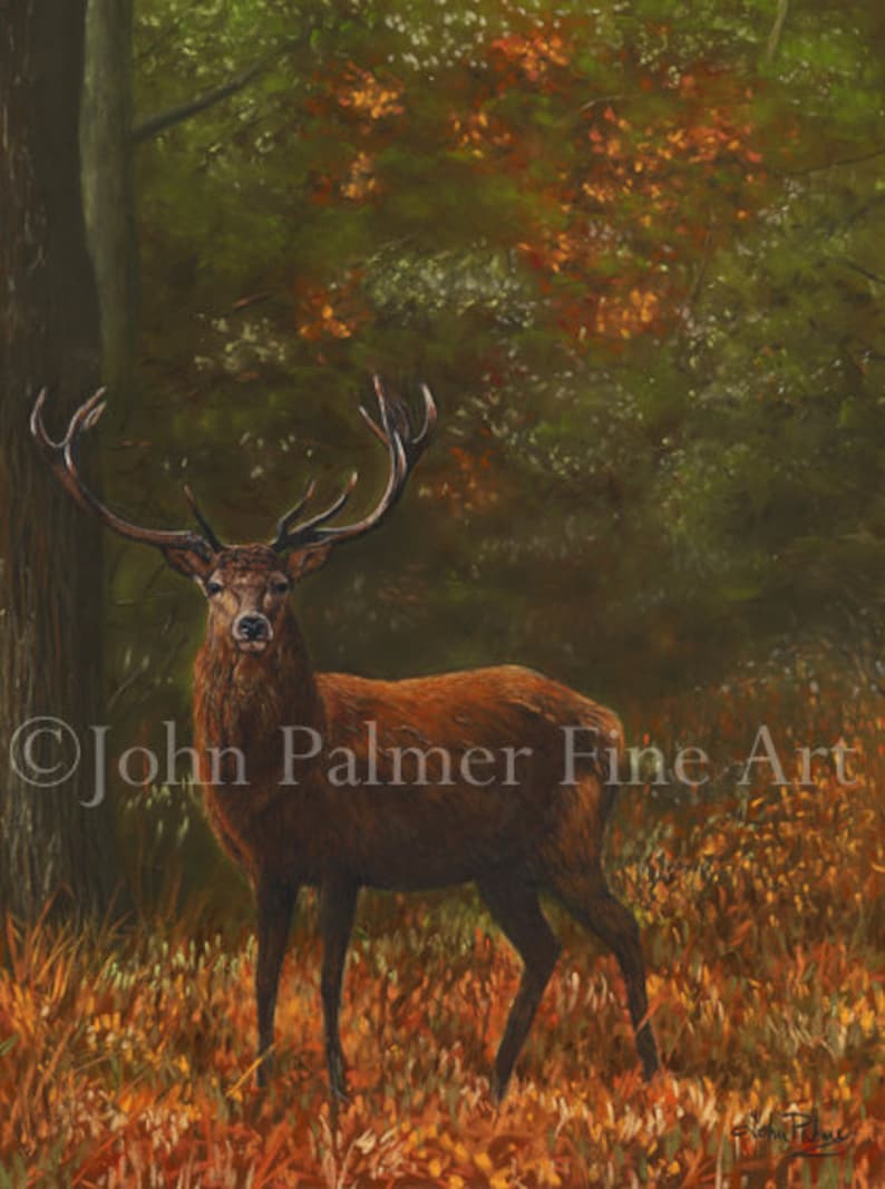 game birds farm animals wildlife animals print from my original pastel painting Red Deer Stag deer woodland British wildlife