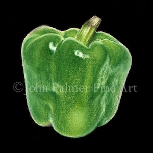 Poivron vert - Carte de voeux de ma peinture d'un poivron vert