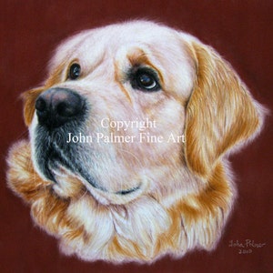 Golden retriever Picture portrait, Golden retriever Picture, Doggie gift -  print from my original pastel painting