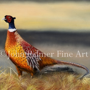 Pheasant Picture greeting card,Pheasant gift, Autumn pheasant,Autumn Glory -  Greeting card from my painting of a Pheasant