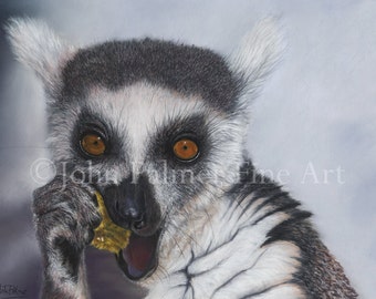 Lemur Bild, Lemur Malerei Pastell Porträt - Wildtiere, Lemur, Tiere, Kunst, Wildtiere Malerei - Druck von meinem original Pastellbild