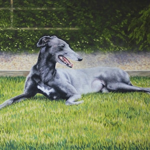 Carte de voeux photo lévrier, cadeau lévrier, cadeau chien, Cassie le lévrier - Carte de voeux de ma peinture pastel originale